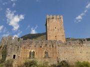 finestre gotiche e torre